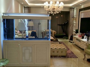 白橡木實(shí)景圖