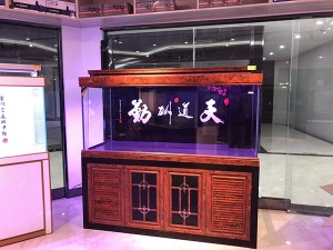 黃檀木實(shí)景圖