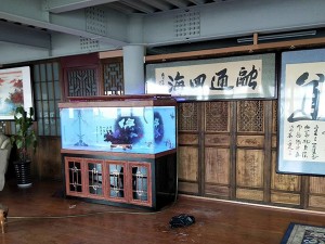 黃檀木實(shí)景圖