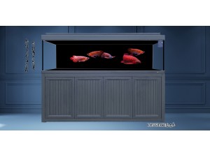 龍巴克智能龍魚(yú)缸