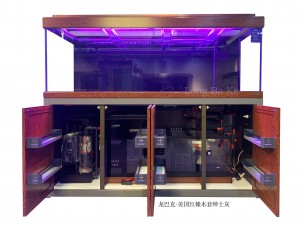 龍巴克智能龍魚(yú)缸