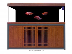 龍巴克智能龍魚(yú)缸
