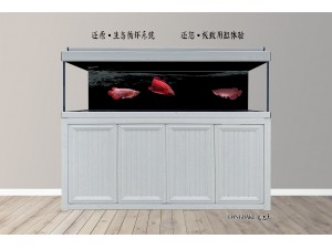 龍巴克智能龍魚(yú)缸