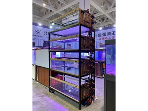 高端實(shí)木龍缸