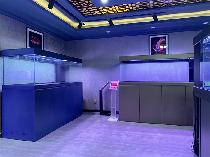 慕動(dòng)全鋁龍缸