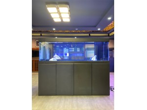 慕動(dòng)全鋁龍缸