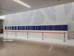 金海王實景案例圖-12米