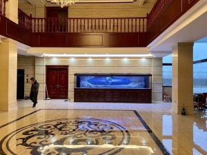 金海王實景案例圖-法歐系列5米