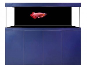 慕動(dòng)全鋁龍缸